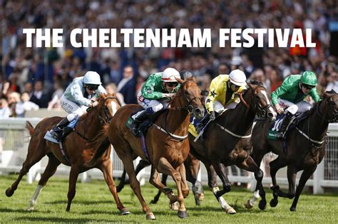 cheltenham festival bets - Cheltenham oddschecker